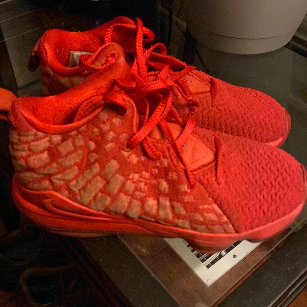 Lebrons, red carpet , good condition